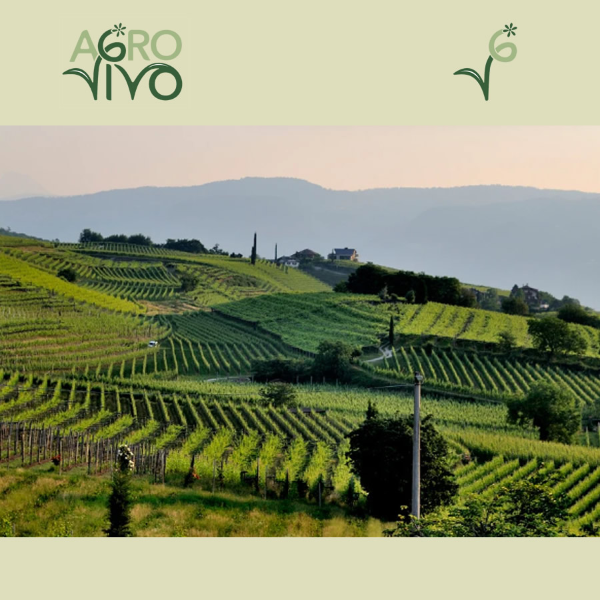 Asesor&iacute;a en bioregulaci&oacute;n de los cultivos